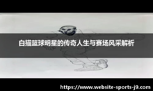 白描篮球明星的传奇人生与赛场风采解析